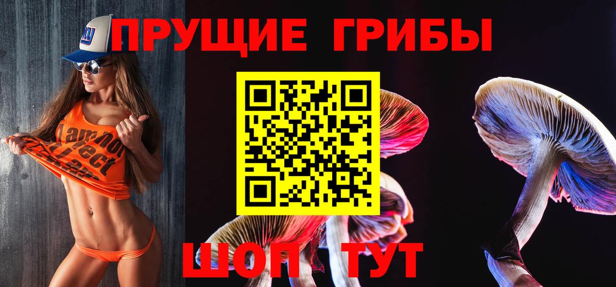 Псилоцибиновые грибы прущие грибы  Вход с VPN  Лесосибирск  Галлюциногенные грибы мицелий 